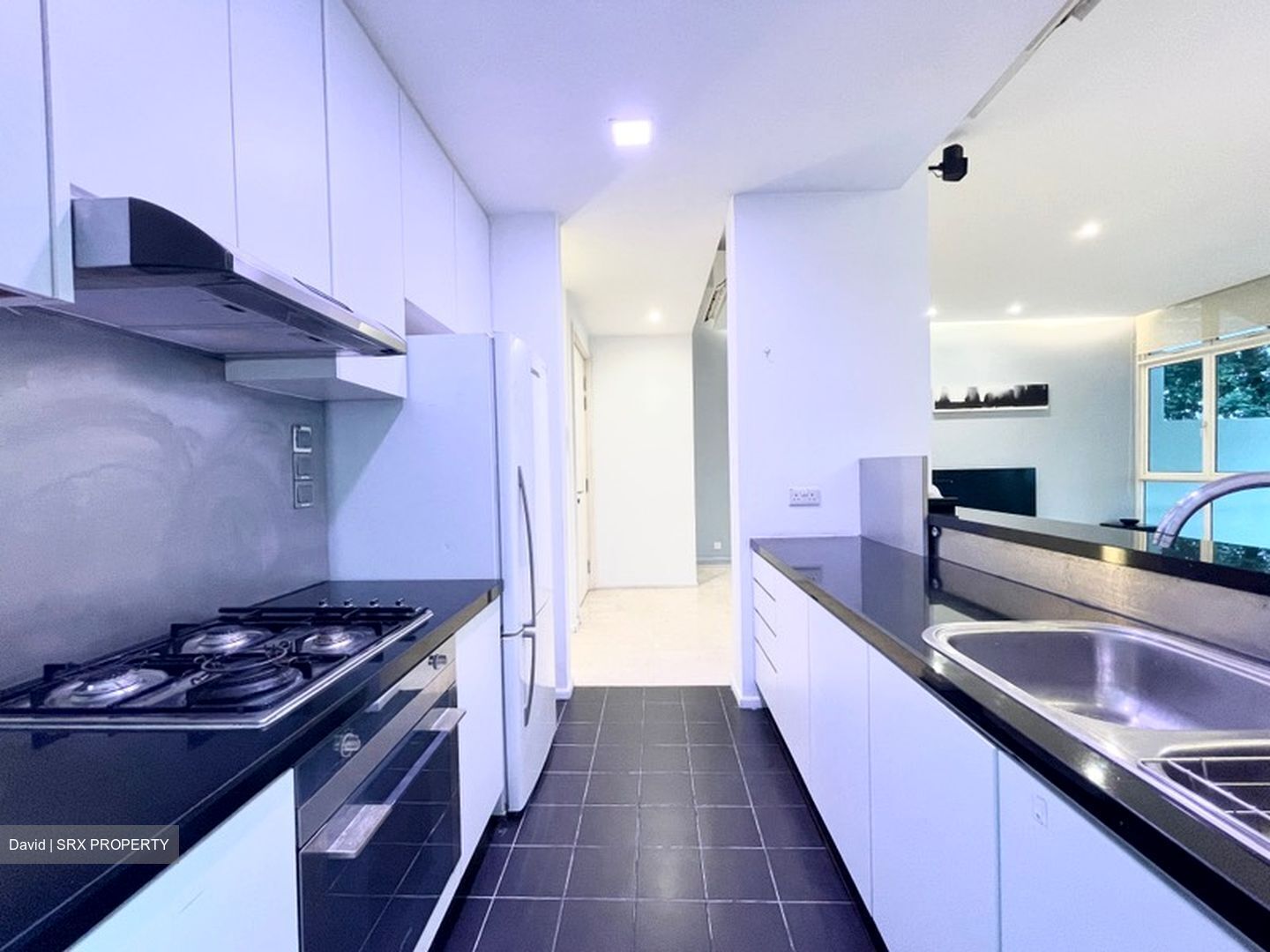 Country Park Condominium (D16), Condominium #613475571